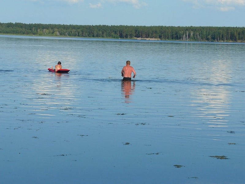 Погода завьялово алтайский край на неделю